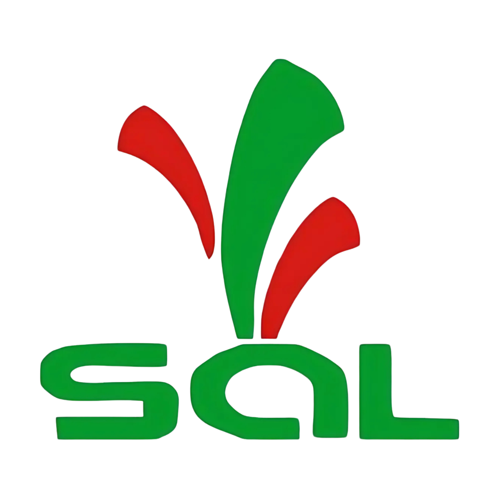 Logo klien ERP Nusantara